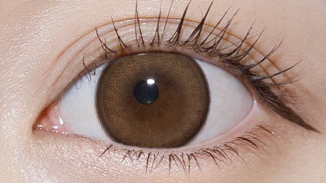 プリモア プリガールキャメル 装用画像