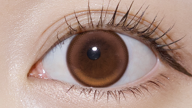 ギャルネバーダイ / ホットティー レンズ画像