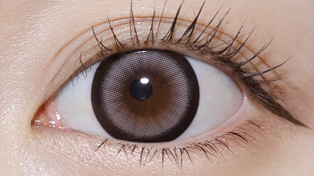 リセイ シルバーウルフ 装用画像