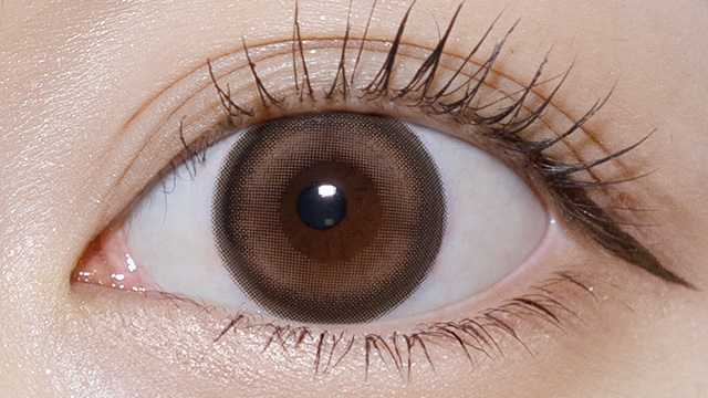 ワンデーリフレア エーアイ ブリンクブラウン 装用画像