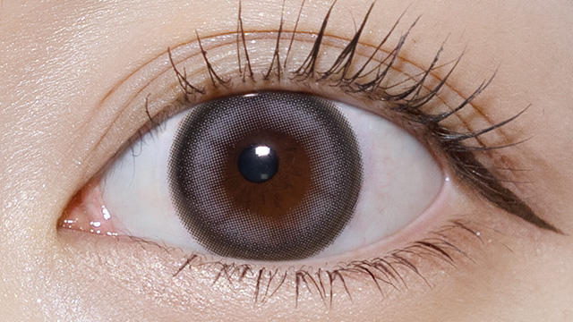 ワンデーリフレア エーアイ マグネティックグレー 装用画像