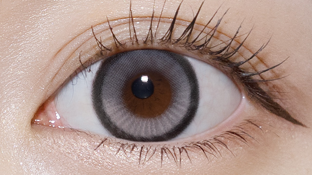 ラヴェール ドリーミアネイビー 10枚入の装用画像