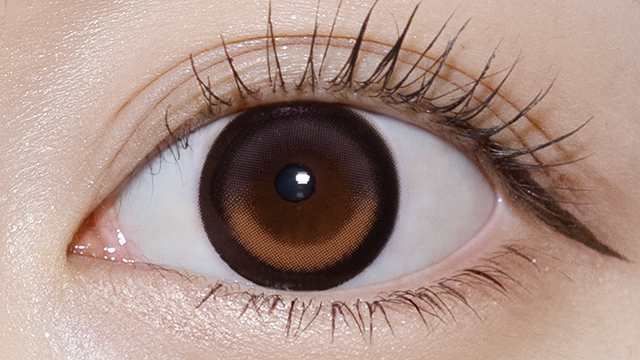 シャプン / ときとめブラウン レンズ画像