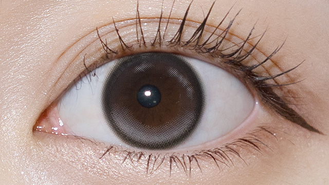 ワンデーリフレア アンローラ ルナングレーの装用画像