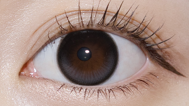 オーレンズ レインワンデー ブラックの装用画像