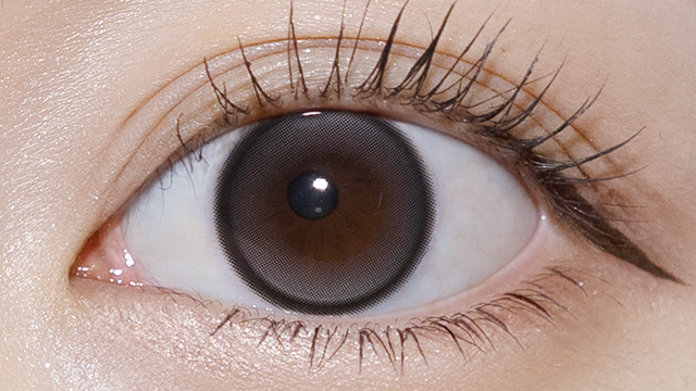 ラディリス ルーセントグレー 装用画像