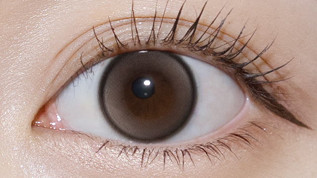 ラディリス エトワールベージュ 装用画像