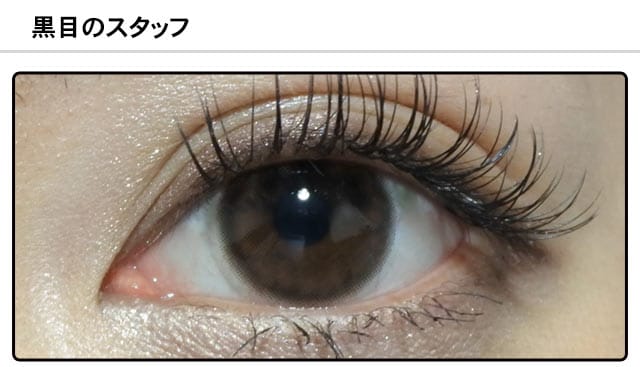 スタッフ0の装着画像