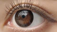 エンジェルアイズワンデートーリック(乱視用) アクセントブラック CYL-0.75/AXIS180 装用画像