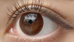 エンジェルアイズワンデートーリック(乱視用) ヴィヴィッドブラウン CYL-0.75/AXIS180 装用画像