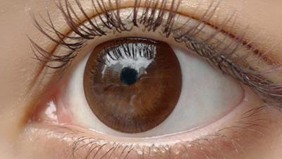 ヴィヴィッドブラウン 装用画像