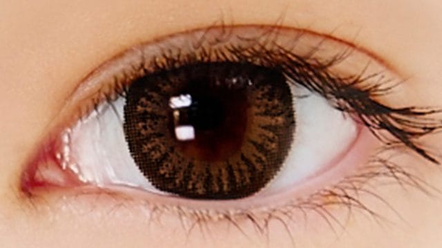 ヘーゼル30枚入 装用画像