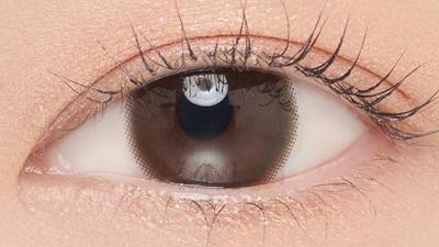 ダークブラウン 装用画像