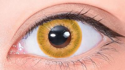 エフ マリーゴールド 装用画像