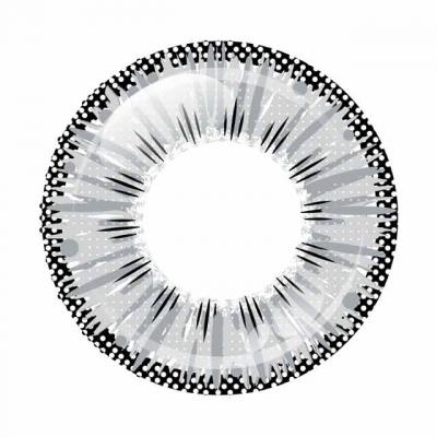 スノーグレイ レンズ画像