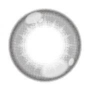 アシストシュシュ パピーラワンデー クッキークリームシロップ