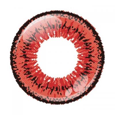 ツインレッド レンズ画像