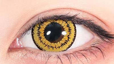 ツインイエロー 装用画像