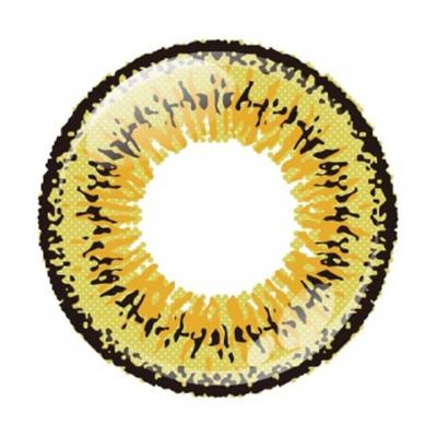 ツインイエロー レンズ画像