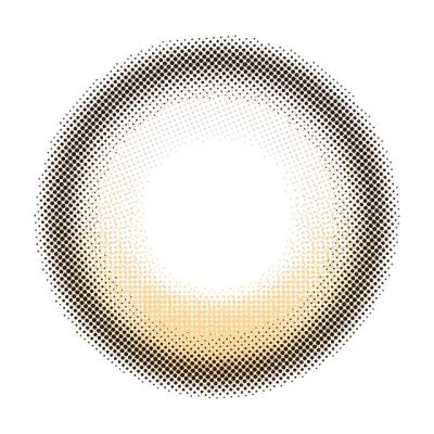 ダリア レンズ画像