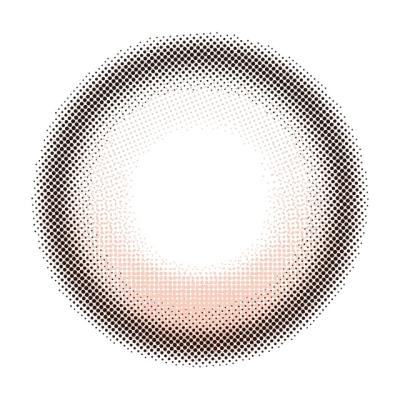 パピー レンズ画像