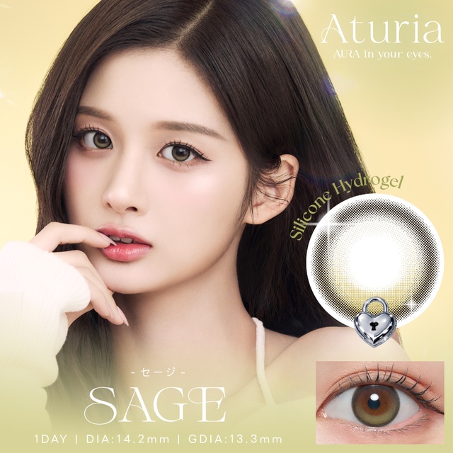 アトゥリア セージ(1)