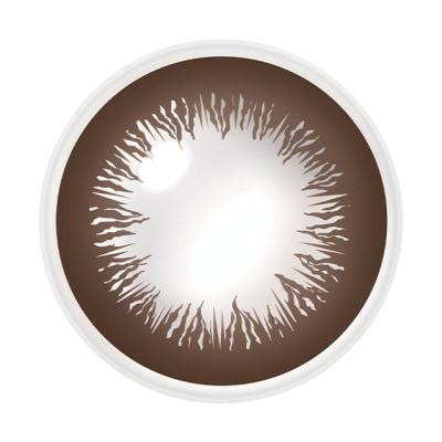 ヴィヴィッド スタイル レンズ画像