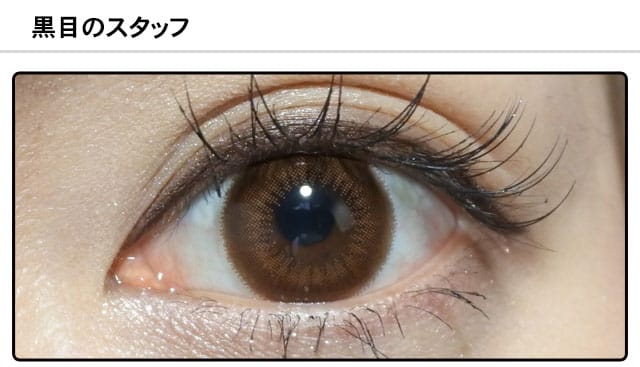 スタッフ0の装着画像