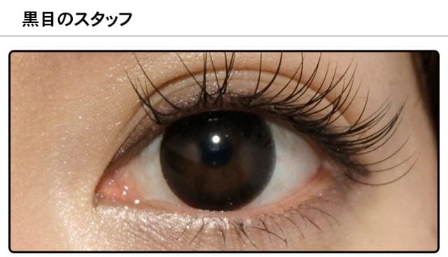 スタッフ0の装着画像