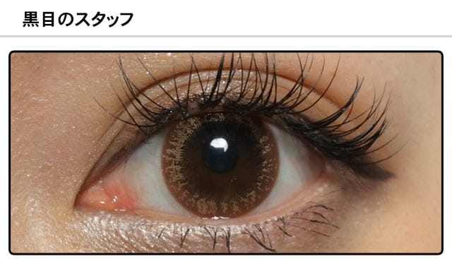 スタッフ0の装着画像