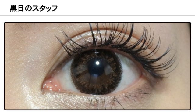 スタッフ0の装着画像