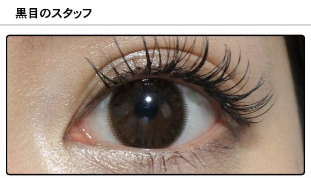 スタッフ0の装着画像