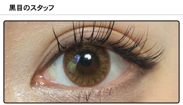 スタッフ0の装着画像