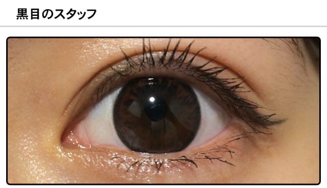 スタッフ1の装着画像