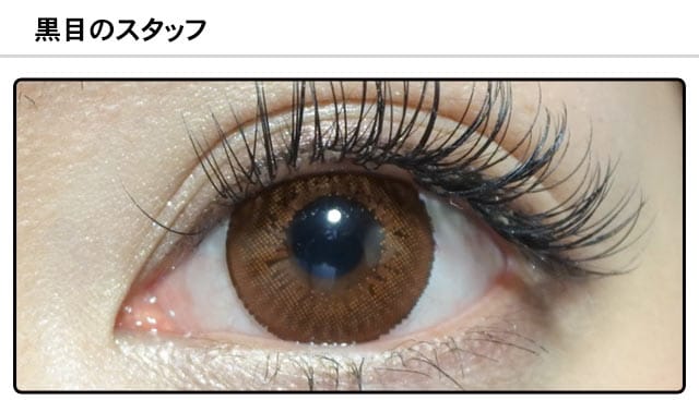 スタッフ0の装着画像
