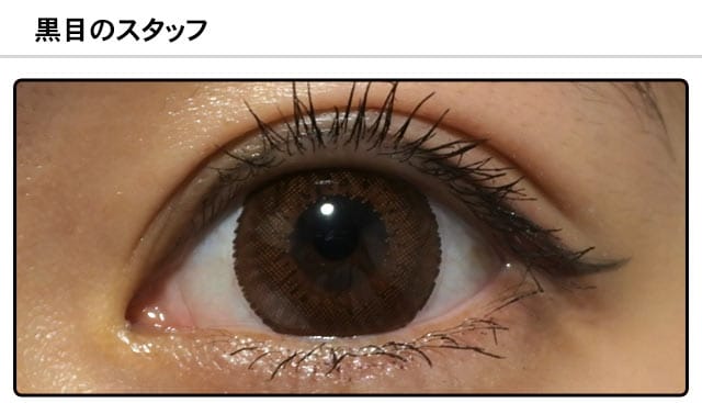 スタッフ1の装着画像