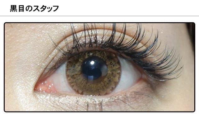 スタッフ0の装着画像