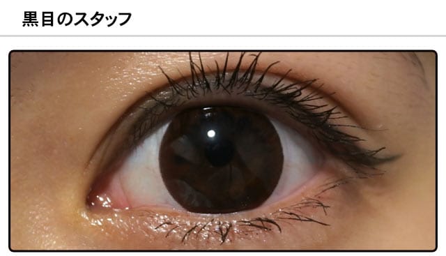 スタッフ1の装着画像
