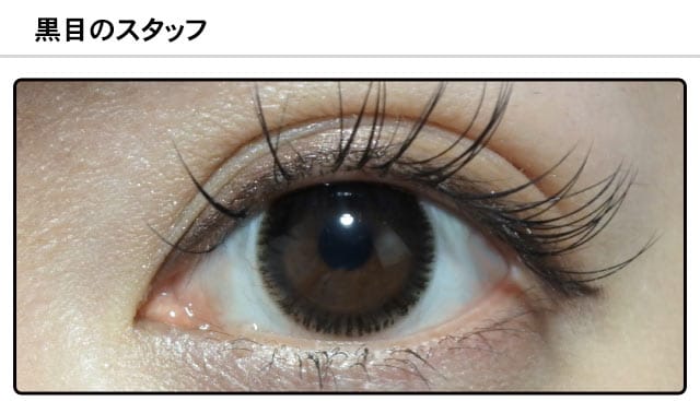 スタッフ1の装着画像