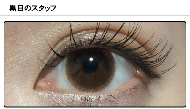 スタッフ1の装着画像