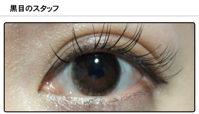 スタッフ1の装着画像