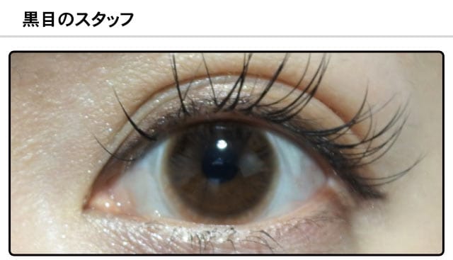 スタッフ1の装着画像