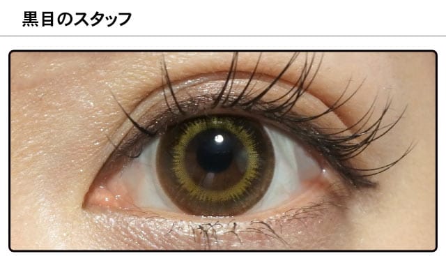 スタッフ1の装着画像