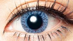 コンタクトフィルムズ 01BL ワントーンブルー度なし14.0mm