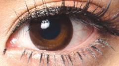 コンタクトフィルムズ BKHZ ヘーゼルサークル度なし 14.0mm