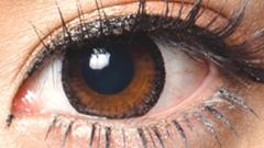 コンタクトフィルムズ BKRI ブラックリング度なし 14.0mm