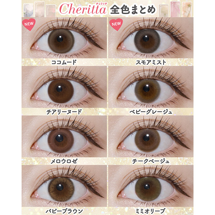 チェリッタワンデー ミミオリーブ(5)