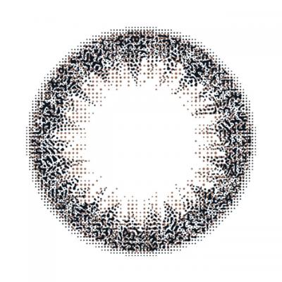 デイリーブラック レンズ画像