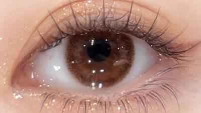 デイリーブラウン 装用画像