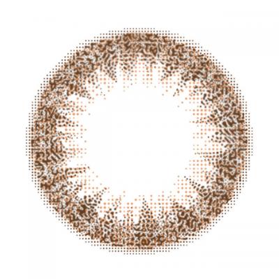 デイリーブラウン レンズ画像